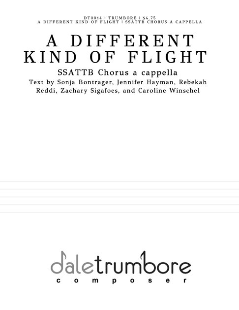 A Different Kind of Flight cover