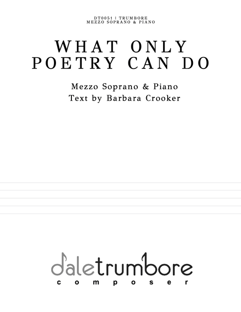 What Only Poetry Can Do Mezzo cover