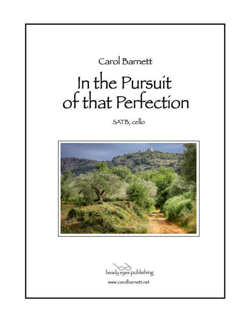 In the Pursuit of that Perfection cover