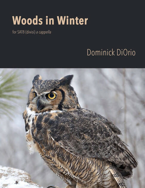 Woods in Winter cover